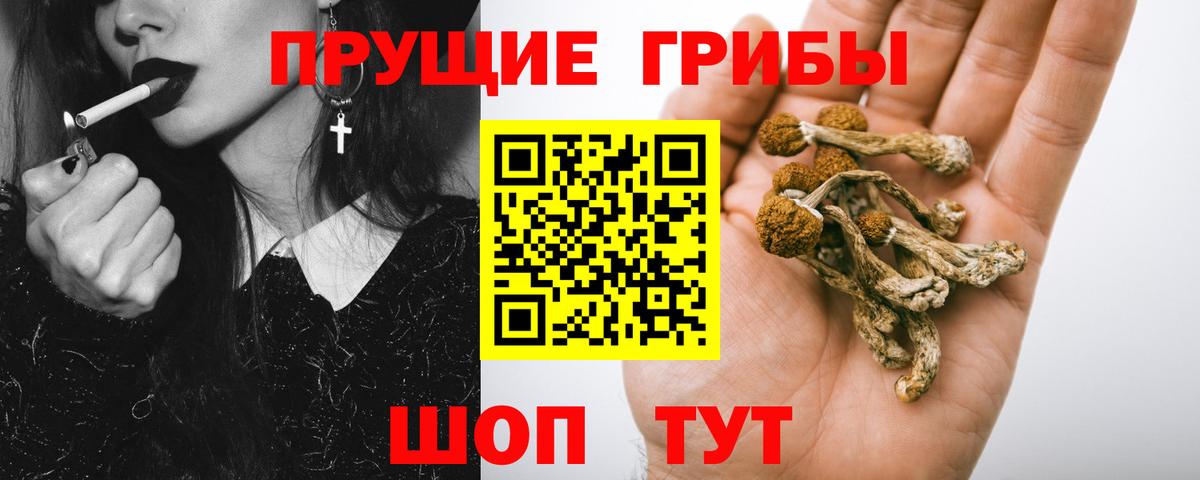 Галлюциногенные грибы мухоморы  Галлюциногенные грибы Psilocybine cubensis  Ревда  Вход с VPN 